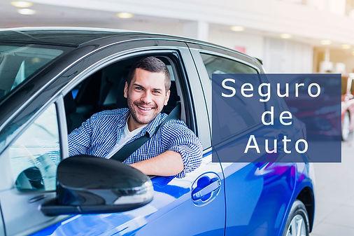 Imagen de Seguro de Auto - Seguros Wilson Feliciano ofrece cobertura completa para tu auto