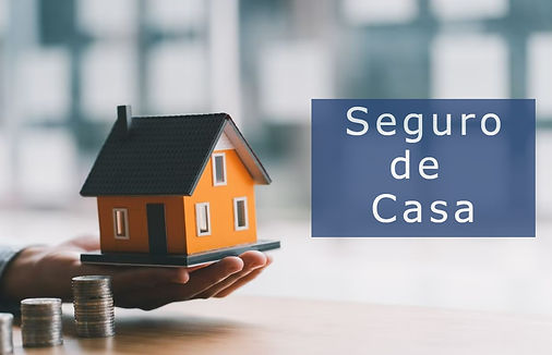Imagen de Seguro de Casa - Seguros Wilson Feliciano ofrece cobertura completa para tu casa
