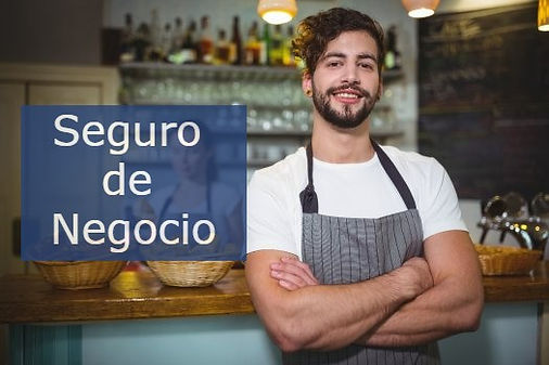 Imagen de Seguro de Negocio - Seguros Wilson Feliciano ofrece cobertura completa para tu negocio