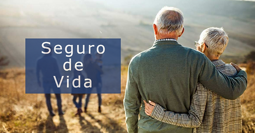 Imagen de Seguro de Vida - Seguros Wilson Feliciano ofrece cobertura completa para tu vida